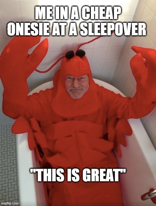 Patrick Stewart Lobster | ME IN A CHEAP ONESIE AT A SLEEPOVER; "THIS IS GREAT" | image tagged in patrick stewart lobster | made w/ Imgflip meme maker