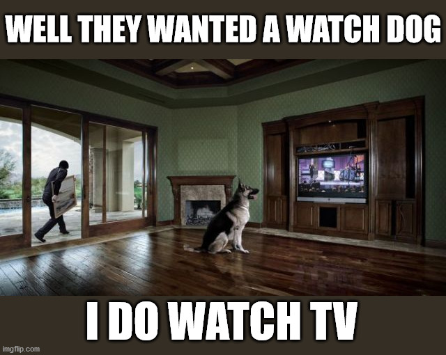 WELL THEY WANTED A WATCH DOG; I DO WATCH TV | image tagged in eye roll | made w/ Imgflip meme maker