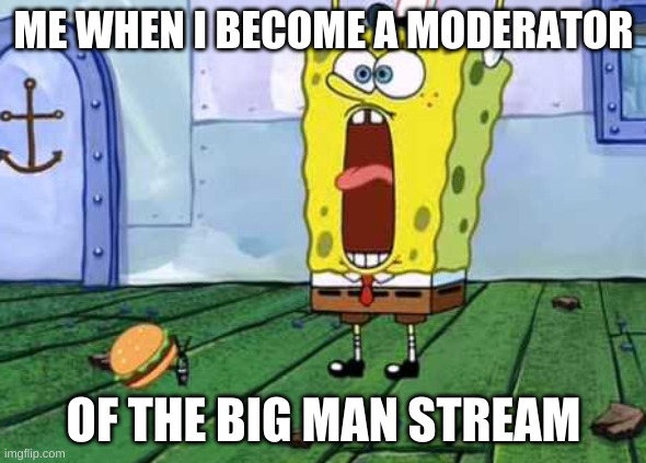 VICTORY SCREECH!!! | ME WHEN I BECOME A MODERATOR; OF THE BIG MAN STREAM | image tagged in victory screech | made w/ Imgflip meme maker