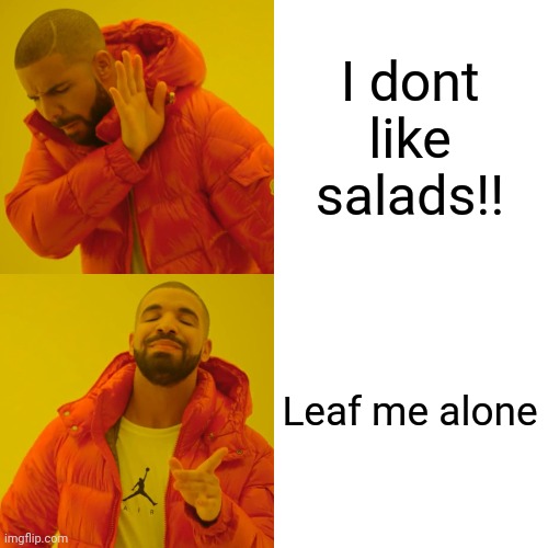 Drake Hotline Bling Meme | I dont like salads!! Leaf me alone | image tagged in memes,drake hotline bling | made w/ Imgflip meme maker