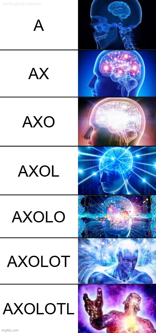 WHY DID I MAKE THIS | A; AX; AXO; AXOL; AXOLO; AXOLOT; AXOLOTL | image tagged in 7-tier expanding brain | made w/ Imgflip meme maker