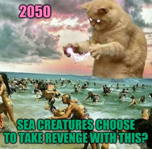 really | 2050; SEA CREATURES CHOOSE TO TAKE REVENGE WITH THIS? | image tagged in giant cat on beach,kaiju cat | made w/ Imgflip meme maker