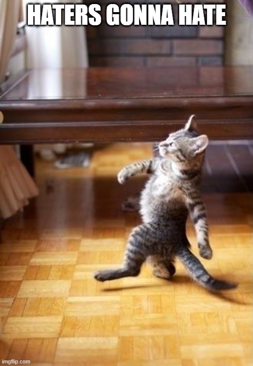 Cool Cat Stroll Meme | HATERS GONNA HATE | image tagged in memes,cool cat stroll | made w/ Imgflip meme maker