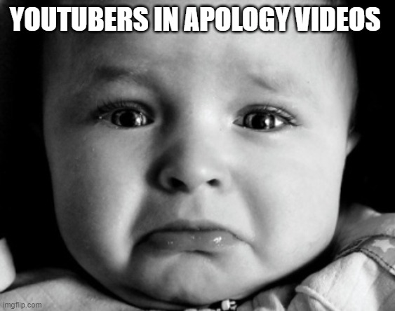 Youtuber apology be like |  YOUTUBERS IN APOLOGY VIDEOS | image tagged in memes,sad baby | made w/ Imgflip meme maker