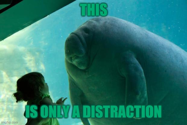 Overlord Manatee | THIS; IS ONLY A DISTRACTION | image tagged in overlord manatee | made w/ Imgflip meme maker