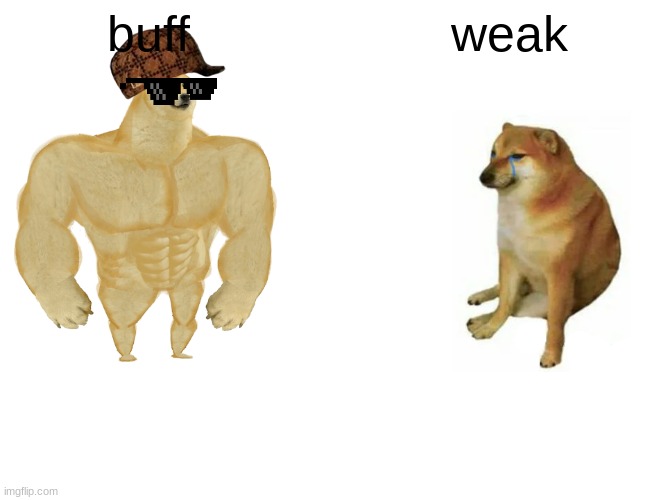 HAPPY BIRTHDAYwhat would you do? | buff; weak | image tagged in memes,buff doge vs cheems | made w/ Imgflip meme maker