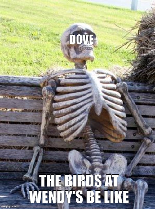 Waiting Skeleton Meme | DOVE; THE BIRDS AT WENDY'S BE LIKE | image tagged in memes,waiting skeleton | made w/ Imgflip meme maker