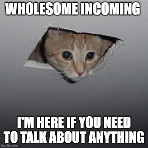 Ceiling Cat Meme | WHOLESOME INCOMING; I'M HERE IF YOU NEED TO TALK ABOUT ANYTHING | image tagged in memes,ceiling cat | made w/ Imgflip meme maker