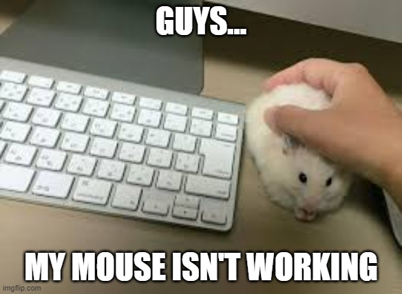 I got a new mouse, but it doesn't work | GUYS... MY MOUSE ISN'T WORKING | image tagged in certified bruh moment | made w/ Imgflip meme maker