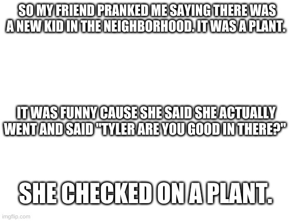 Blank White Template | SO MY FRIEND PRANKED ME SAYING THERE WAS A NEW KID IN THE NEIGHBORHOOD. IT WAS A PLANT. IT WAS FUNNY CAUSE SHE SAID SHE ACTUALLY WENT AND SAID "TYLER ARE YOU GOOD IN THERE?"; SHE CHECKED ON A PLANT. | image tagged in blank white template | made w/ Imgflip meme maker