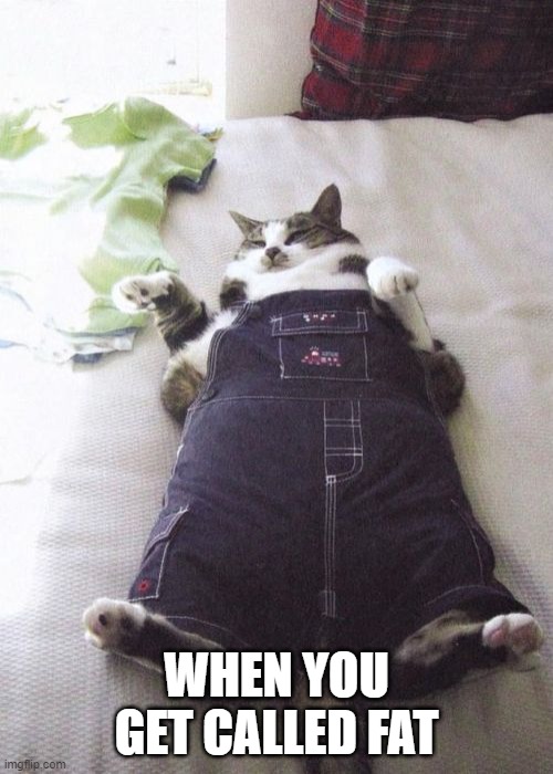 Fat Cat Meme | WHEN YOU GET CALLED FAT | image tagged in memes,fat cat | made w/ Imgflip meme maker