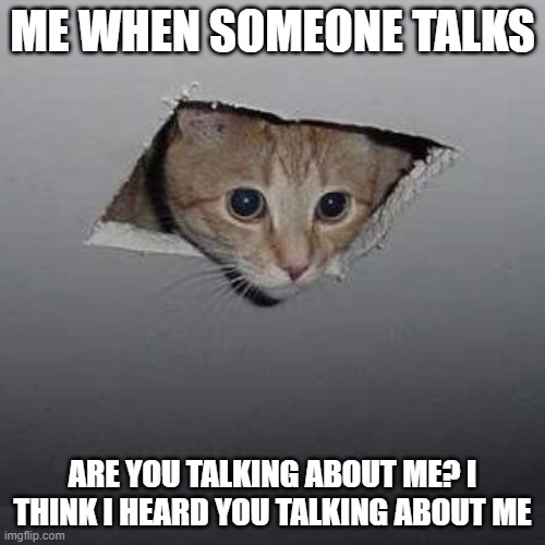 Ceiling Cat | ME WHEN SOMEONE TALKS; ARE YOU TALKING ABOUT ME? I THINK I HEARD YOU TALKING ABOUT ME | image tagged in memes,ceiling cat | made w/ Imgflip meme maker
