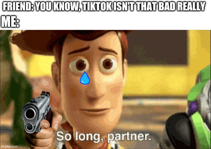 If you like this meme, you might like my other ones too: https://imgflip.com/all/user-images/Kingpancake | FRIEND: YOU KNOW, TIKTOK ISN'T THAT BAD REALLY; ME: | image tagged in so long partner | made w/ Imgflip meme maker