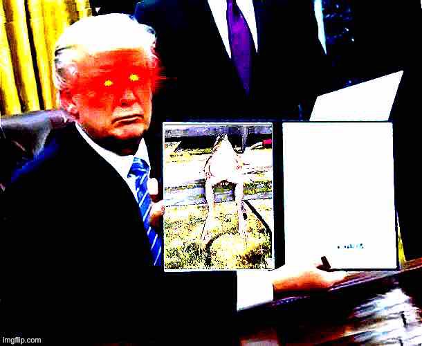 1000 views and 40 upvotes will you guys do that for me | image tagged in trump bill signing | made w/ Imgflip meme maker