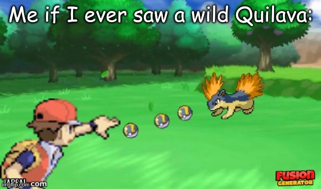 Me if I ever saw a wild Quilava: | made w/ Imgflip meme maker