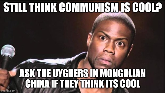 kevin heart idiot | STILL THINK COMMUNISM IS COOL? ASK THE UYGHERS IN MONGOLIAN CHINA IF THEY THINK ITS COOL | image tagged in kevin heart idiot | made w/ Imgflip meme maker