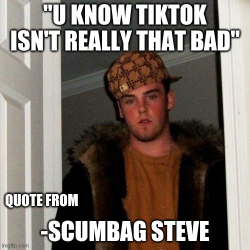 Scumbag Steve | "U KNOW TIKTOK ISN'T REALLY THAT BAD"; QUOTE FROM; -SCUMBAG STEVE | image tagged in memes,scumbag steve | made w/ Imgflip meme maker