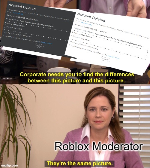 They're The Same Picture | Roblox Moderator | image tagged in memes,they're the same picture | made w/ Imgflip meme maker
