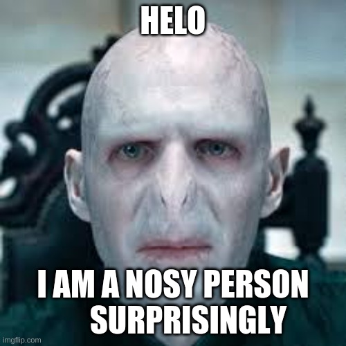 nosy | HELO; I AM A NOSY PERSON      SURPRISINGLY | image tagged in voldymorty got no nosie | made w/ Imgflip meme maker