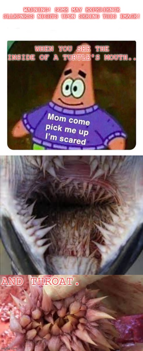 Warning! May experience sleepless nights upon seeing the following images! | WARNING! SOME MAY EXPERIENCE SLLEPNESS NIGHTS UPON SEEING THIS IMAGE! WHEN YOU SEE THE INSIDE OF A TURTLE'S MOUTH.. AND THROAT. | image tagged in mommy come pick me up i'm scared | made w/ Imgflip meme maker
