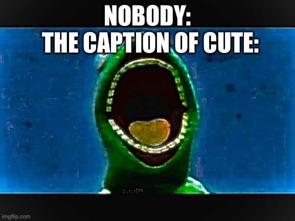 THE CAPTION OF CUTE:; NOBODY: | image tagged in funny because it's true | made w/ Imgflip meme maker