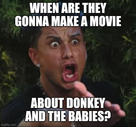 DJ Pauly D Meme | WHEN ARE THEY GONNA MAKE A MOVIE ABOUT DONKEY AND THE BABIES? | image tagged in memes,dj pauly d | made w/ Imgflip meme maker