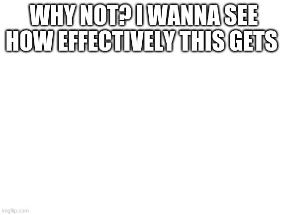 why not? | WHY NOT? I WANNA SEE HOW EFFECTIVELY THIS GETS | image tagged in blank white template | made w/ Imgflip meme maker