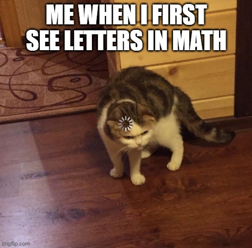 Buffering Cat | ME WHEN I FIRST SEE LETTERS IN MATH | image tagged in buffering cat | made w/ Imgflip meme maker