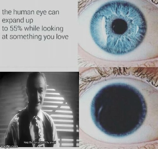 I love this part | image tagged in eye pupil expand,funny memes | made w/ Imgflip meme maker