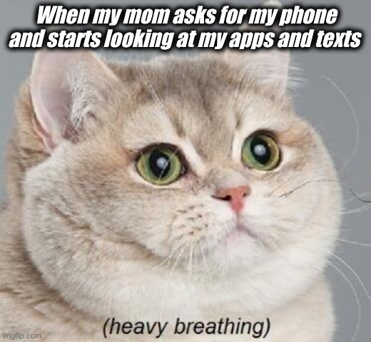 Heavy Breathing Cat Meme | When my mom asks for my phone and starts looking at my apps and texts | image tagged in memes,heavy breathing cat | made w/ Imgflip meme maker