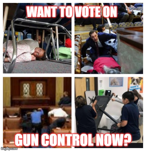 Gun Control | WANT TO VOTE ON; GUN CONTROL NOW? | image tagged in shelter in place,gun control,congress,schools,gun laws | made w/ Imgflip meme maker