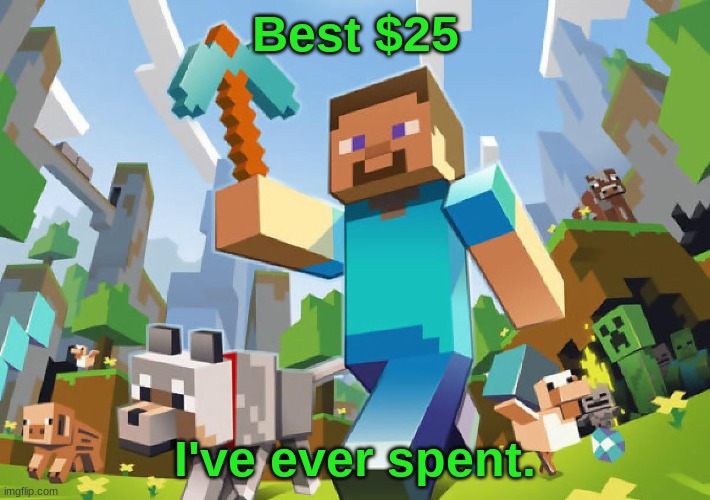 Yay | Best $25; I've ever spent. | image tagged in minecraft | made w/ Imgflip meme maker
