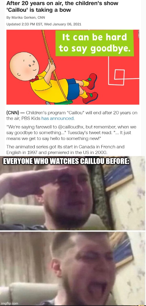 Farewell childhood | EVERYONE WHO WATCHES CAILLOU BEFORE: | image tagged in crying salute,caillou,pbs kids,press f to pay respects,sad,goodbye | made w/ Imgflip meme maker