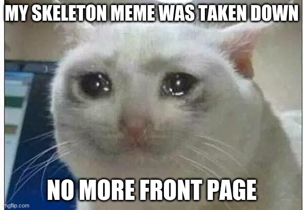 Please help. My meme was taken down. Upvote to get it back up | MY SKELETON MEME WAS TAKEN DOWN; NO MORE FRONT PAGE | image tagged in crying cat,sad | made w/ Imgflip meme maker
