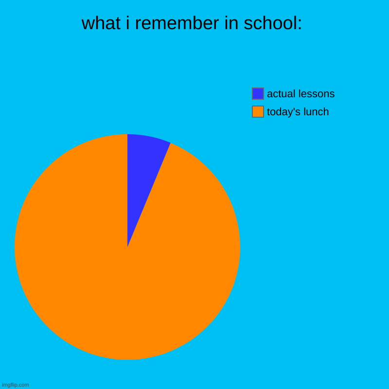 what i remember in school: | today's lunch, actual lessons | image tagged in charts,pie charts | made w/ Imgflip chart maker