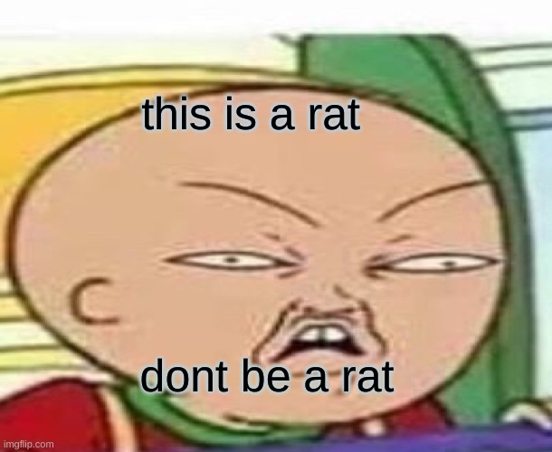 this is a rat; dont be a rat | image tagged in funny,pointless | made w/ Imgflip meme maker