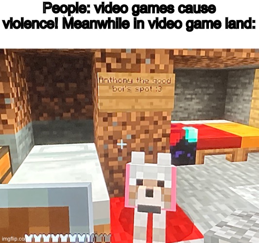 So wholesome... |  People: video games cause violence! Meanwhile in video game land: | image tagged in minecraft,wholesome | made w/ Imgflip meme maker
