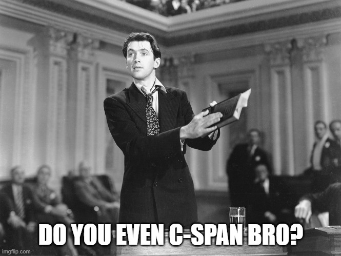 Mr. Smith should've watched C-SPAN | DO YOU EVEN C-SPAN BRO? | image tagged in mr smith goes to washington,do you even,politics | made w/ Imgflip meme maker