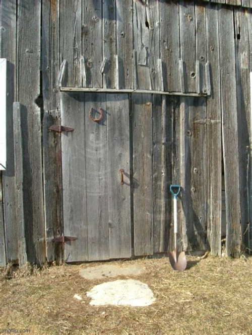 Barn door | image tagged in memes | made w/ Imgflip meme maker