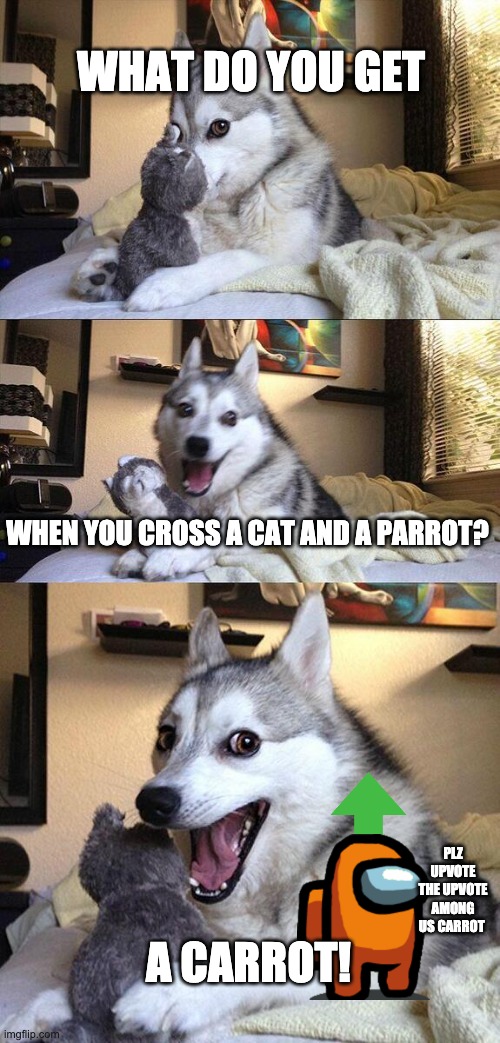 Bad Pun Dog | WHAT DO YOU GET; WHEN YOU CROSS A CAT AND A PARROT? PLZ UPVOTE THE UPVOTE AMONG US CARROT; A CARROT! | image tagged in memes,bad pun dog | made w/ Imgflip meme maker