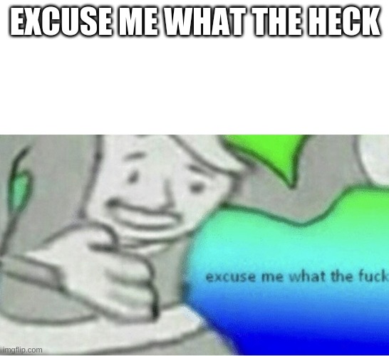 Excuse me wtf blank template | EXCUSE ME WHAT THE HECK | image tagged in excuse me wtf blank template | made w/ Imgflip meme maker