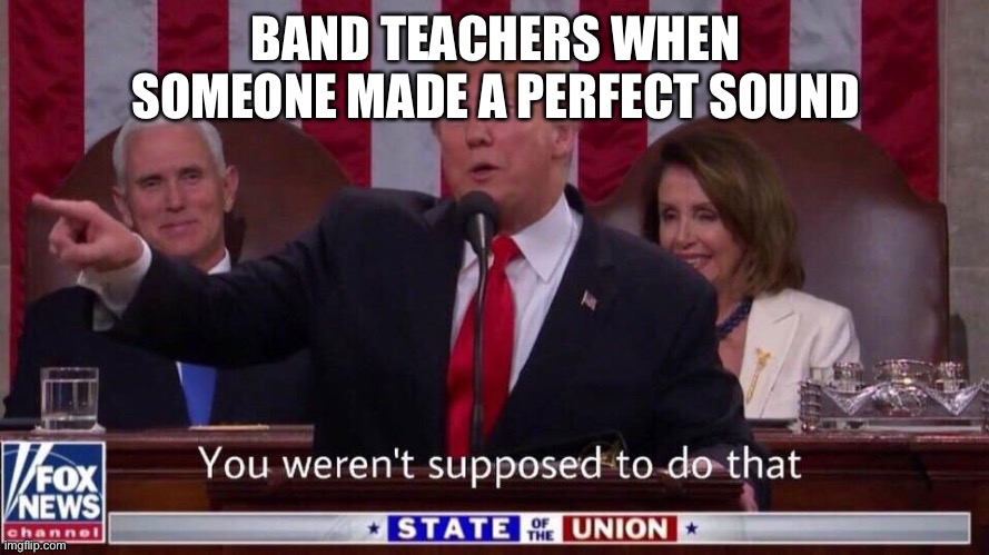 It’s literally facts | BAND TEACHERS WHEN SOMEONE MADE A PERFECT SOUND | image tagged in you weren t supposed to do that | made w/ Imgflip meme maker