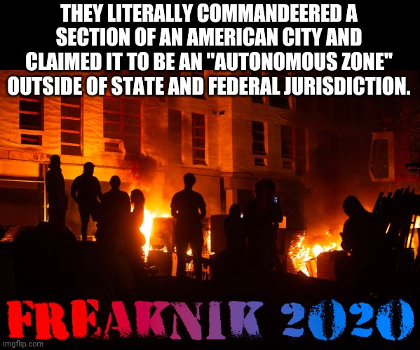 CHAZ | THEY LITERALLY COMMANDEERED A SECTION OF AN AMERICAN CITY AND CLAIMED IT TO BE AN "AUTONOMOUS ZONE" OUTSIDE OF STATE AND FEDERAL JURISDICTIO | image tagged in chaz | made w/ Imgflip meme maker