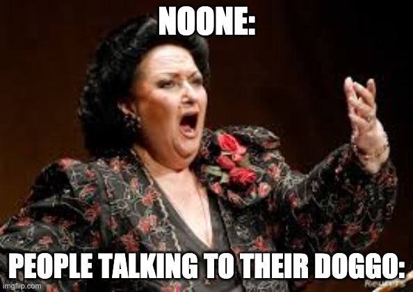 give it a minute ;) | NOONE:; PEOPLE TALKING TO THEIR DOGGO: | image tagged in memes,opera | made w/ Imgflip meme maker