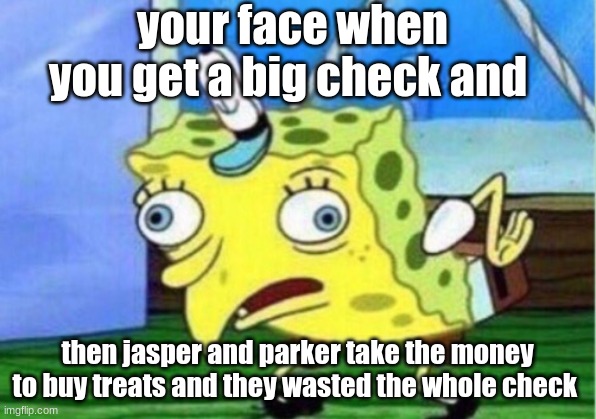 jasper took the cash | your face when you get a big check and; then jasper and parker take the money to buy treats and they wasted the whole check | image tagged in memes,mocking spongebob | made w/ Imgflip meme maker
