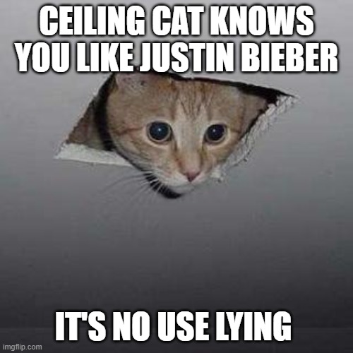 he knows | CEILING CAT KNOWS YOU LIKE JUSTIN BIEBER; IT'S NO USE LYING | image tagged in memes,ceiling cat | made w/ Imgflip meme maker
