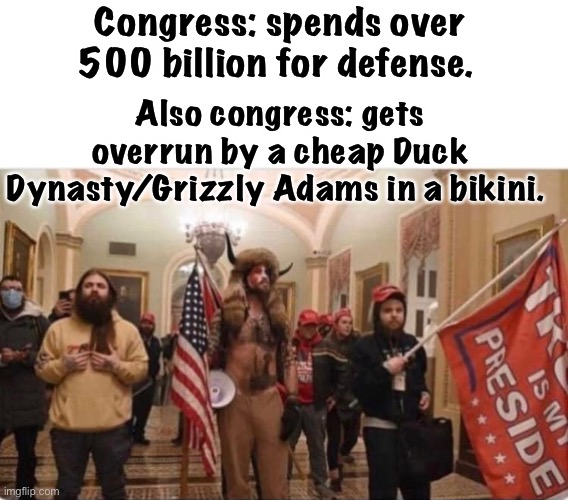 Congress: spends over 500 billion for defense. Also congress: gets overrun by a cheap Duck Dynasty/Grizzly Adams in a bikini. | image tagged in protesters,election 2020,memes,derp | made w/ Imgflip meme maker