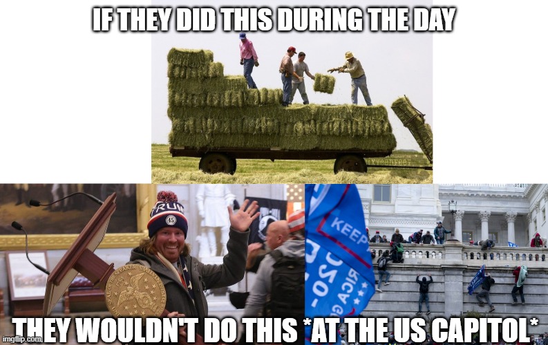 Redneck terrorists | IF THEY DID THIS DURING THE DAY; THEY WOULDN'T DO THIS *AT THE US CAPITOL* | image tagged in farmers,trump,maga,capitol seige,trump mob | made w/ Imgflip meme maker
