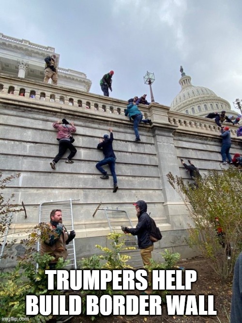 BUILD THE WALL | TRUMPERS HELP BUILD BORDER WALL | image tagged in donald trump,trump,politics,maga | made w/ Imgflip meme maker