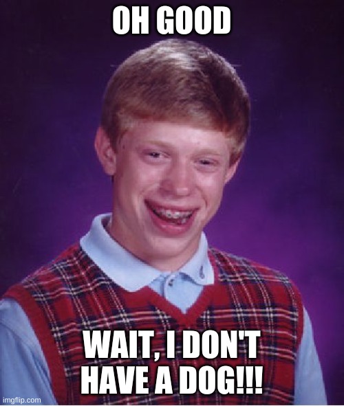 Bad Luck Brian Meme | OH GOOD WAIT, I DON'T HAVE A DOG!!! | image tagged in memes,bad luck brian | made w/ Imgflip meme maker